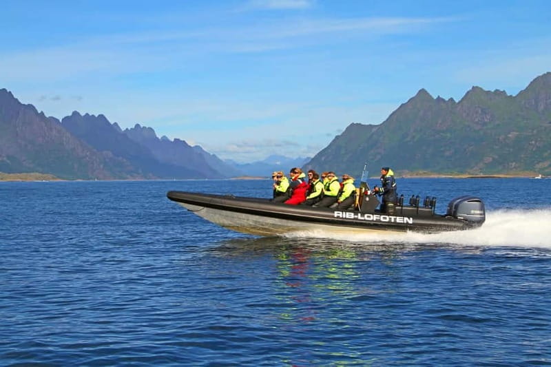 From Svolvær: Lofoten RIB Sea Eagle Safari Trollfjord Cruise - The RIB Ride Is Part of the Attraction