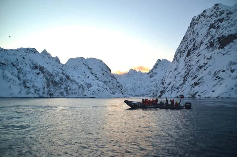 From Svolvær: Lofoten RIB Sea Eagle Safari Trollfjord Cruise - What the $125 Price Buys You