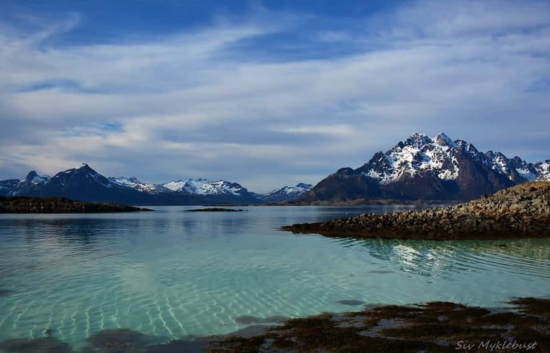 From Svolvær: Lofoten RIB Sea Eagle Safari Trollfjord Cruise - Weather, Timing, and Flexible Plans