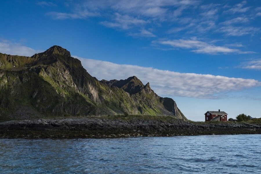 From Svolvaer: Trollfjorden Wildlife RIB Cruise - Why the boat ride is the point