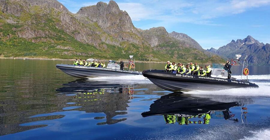 From Svolvaer: Trollfjorden Wildlife RIB Cruise - Eagles, seals, and the luck factor