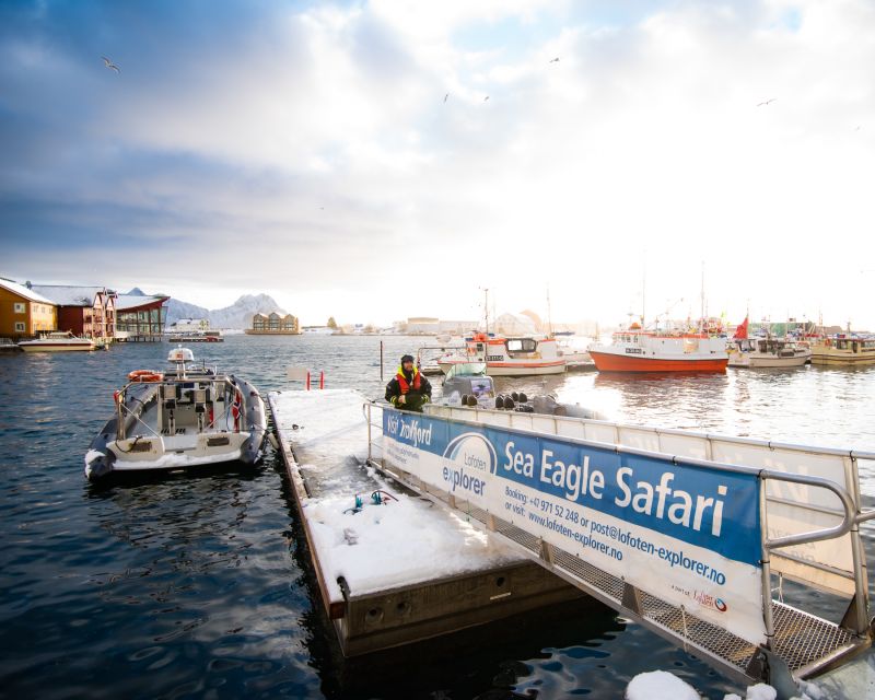 From Svolvaer: Trollfjorden Wildlife RIB Cruise - Skrova and the working coast