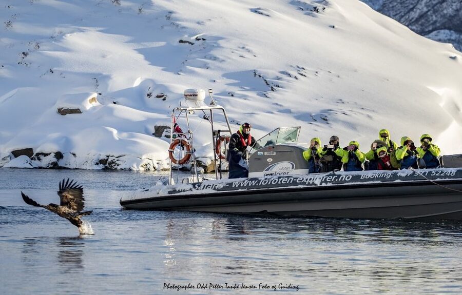 From Svolvaer: Trollfjorden Wildlife RIB Cruise - What to wear for two exposed hours