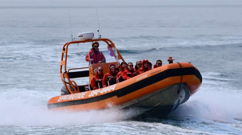 From Victoria: Whale Watching Tour by Zodiac Boat - Leaving Victoria for the Salish Sea