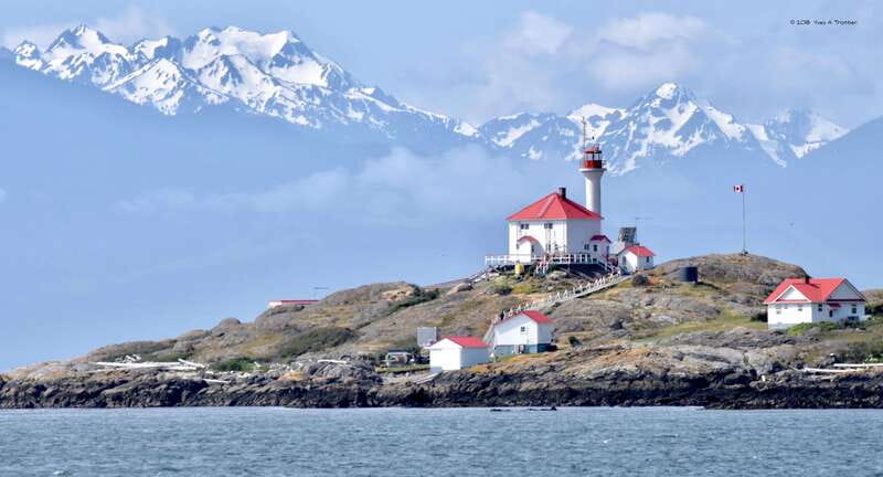 From Victoria: Whale Watching Tour by Zodiac Boat - Weather, Comfort, and the Reality of Open Water