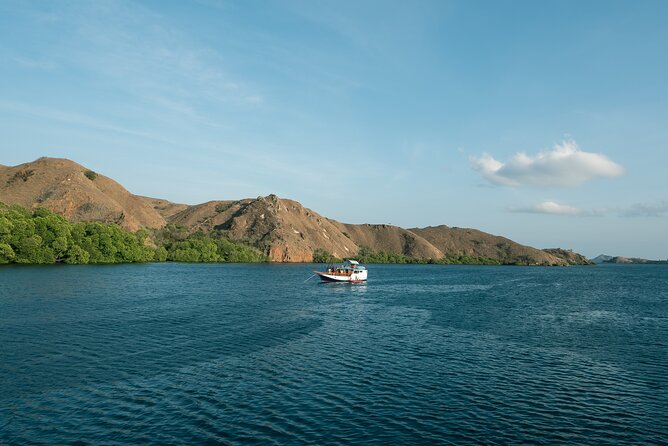 Full-Day Adventure Tour to komodo Island with join Speed Boat tur - Meeting Komodo dragons with park rangers