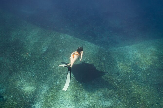 Full-Day Adventure Tour to komodo Island with join Speed Boat tur - Padar Island and the three-hour hill walk