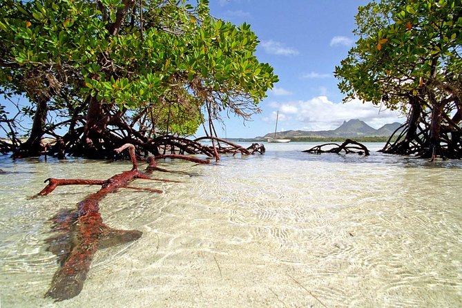 Full-Day At Ile Aux Cerf: Speed Boat, GRSE, Lunch On A Private Island & Transfer - Beach time on Ile aux Cerfs