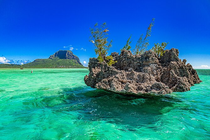 Full day Shared Speedboat Tour - South West Lagoon Dolphin Swim - Lunch and free time on Ile aux Benitiers