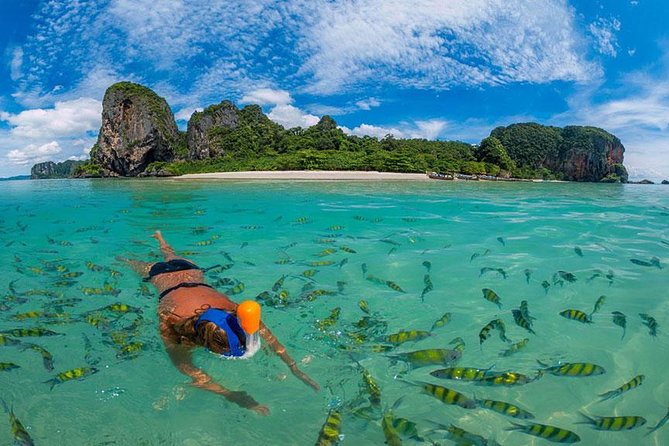 Full Day & Sunset Phi Phi Islands Tour From Phi Phi by Speedboat - Monkey Beach and Shark Point