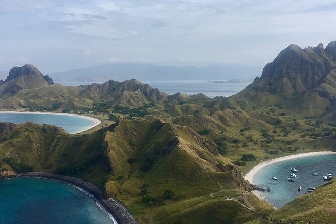 Full Day Tour to Komodo Island By Speed Boat to explore 6 destinations - The boat, transfers, and group reality