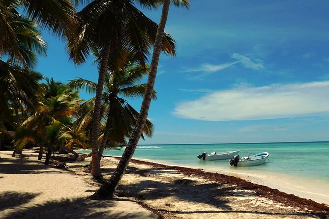 Full Day Tour to Saona Island by Catamaran and Speedboat - Four hours on Saona Island