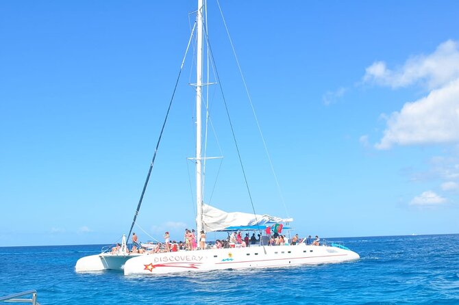 Full Day Tour to Saona Island by Catamaran and Speedboat - Who should book this Saona excursion