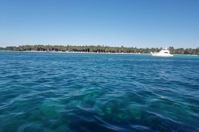 Full Day Tour to Saona Island by Catamaran and Speedboat - Timing, cancellation, and practical planning