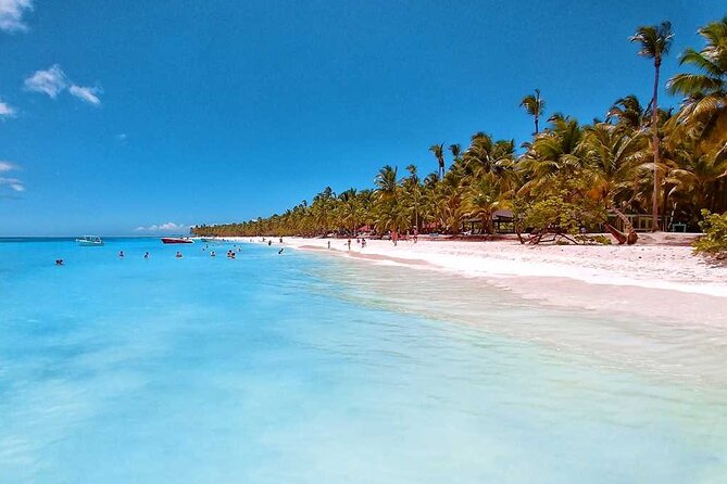 Full Day Tour to Saona Island by Catamaran and Speedboat - Buffet lunch and the open bar