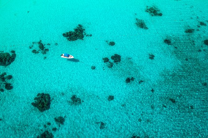 Full-day Tour to the Similan Islands by Speedboat from Khao Lak - Ko Hin Pousar and the best snorkeling of the day