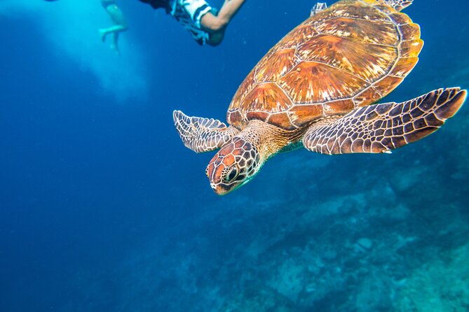 Full-day Tour to the Similan Islands by Speedboat from Khao Lak - The speedboat ride is part of the adventure and part of the risk