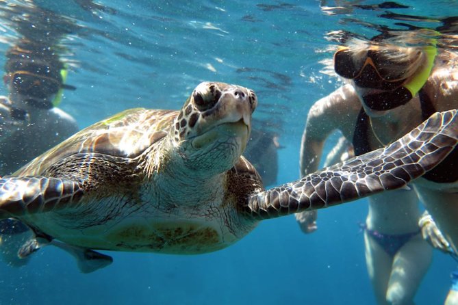 Full-day Tour to the Similan Islands by Speedboat from Khao Lak - Food, equipment, and what the $101.18 price covers