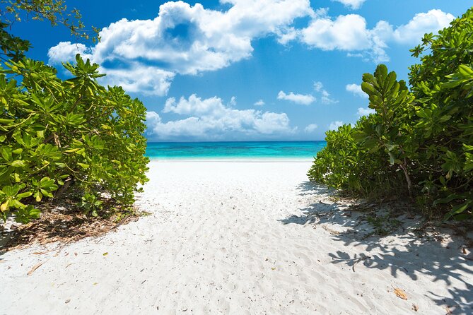 Full-day Tour to the Similan Islands by Speedboat from Khao Lak - Who will enjoy this day most