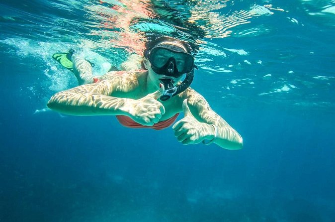 Full-Day Trip to Koh Tao and Koh Nang Yuan from Koh Samui by Speedboat - Should you book this speedboat trip?