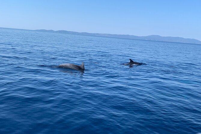 Fully customized private boat trip from Trogir and Split - Hvar is the big-name island stop