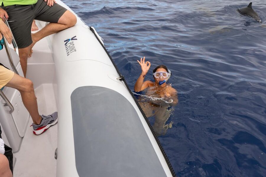 Funchal: RIB Whale Watching Cruise and Optional Dolphin Swim - Key things to know before you go