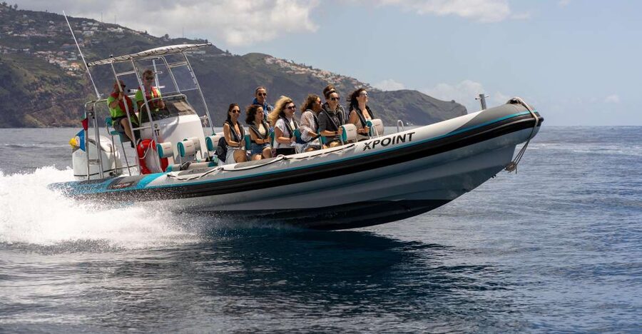Funchal: RIB Whale Watching Cruise and Optional Dolphin Swim - A fast start from Funchal’s marina