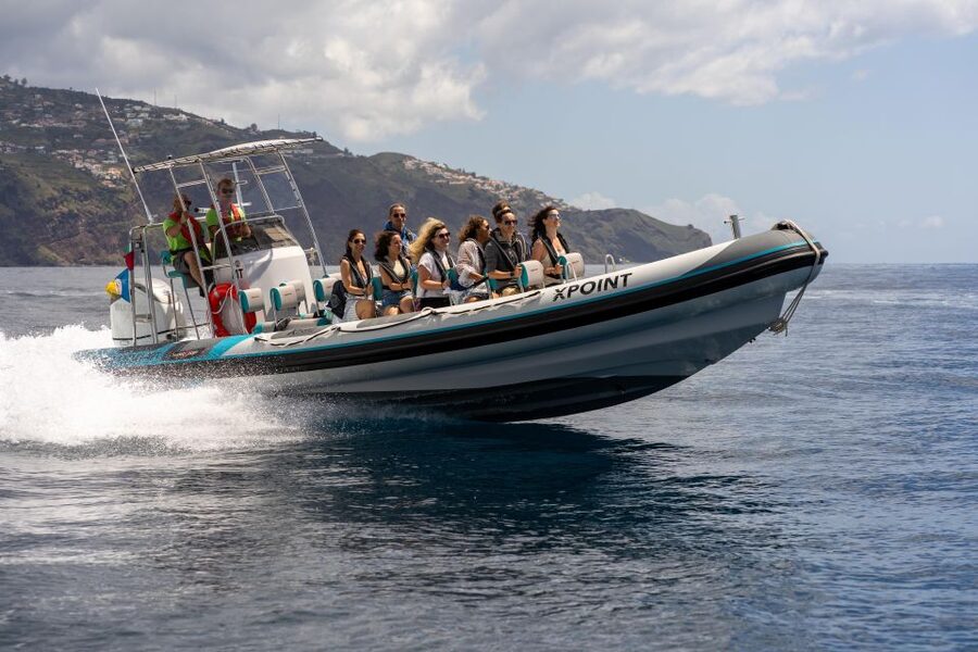 Funchal: RIB Whale Watching Cruise and Optional Dolphin Swim - Searching the Atlantic for dolphins and whales