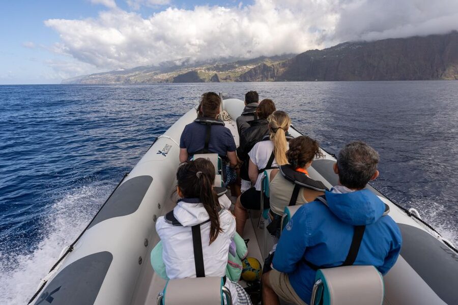 Funchal: RIB Whale Watching Cruise and Optional Dolphin Swim - How the small group changes the experience