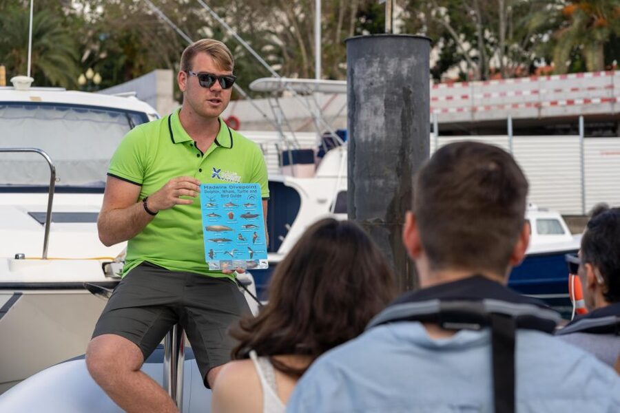 Funchal: RIB Whale Watching Cruise and Optional Dolphin Swim - Who will enjoy this RIB trip most?