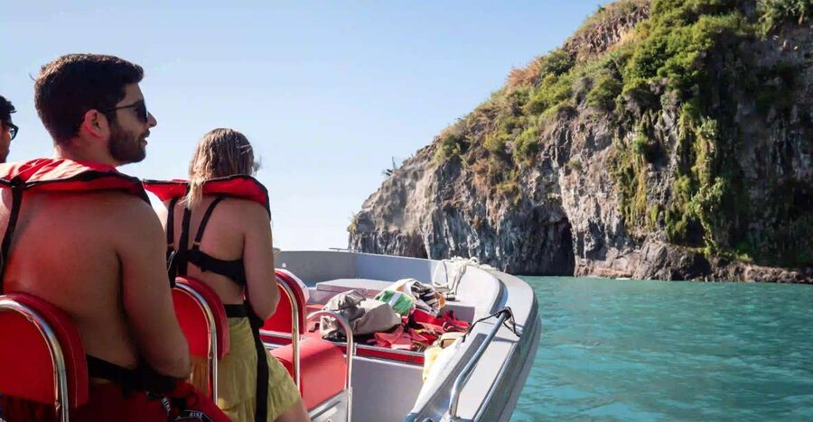 Funchal: Speedboat SEE THE ISLAND AND LIFE AT SEA - Wildlife is the strongest reason to go
