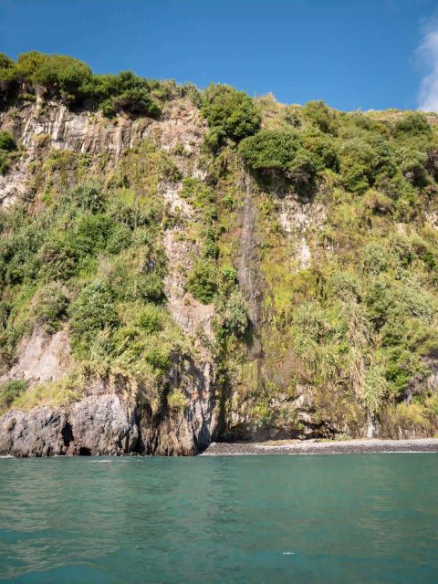 Funchal: Speedboat SEE THE ISLAND AND LIFE AT SEA - Is $41 good value?