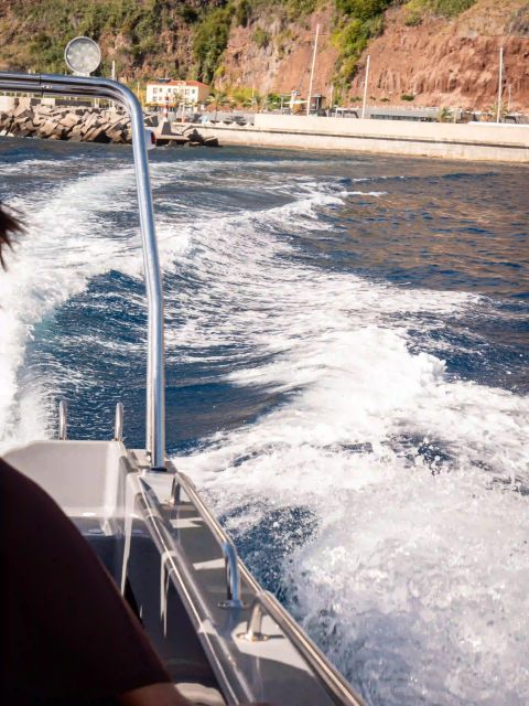Funchal: Speedboat SEE THE ISLAND AND LIFE AT SEA - Booking tips for a smoother outing