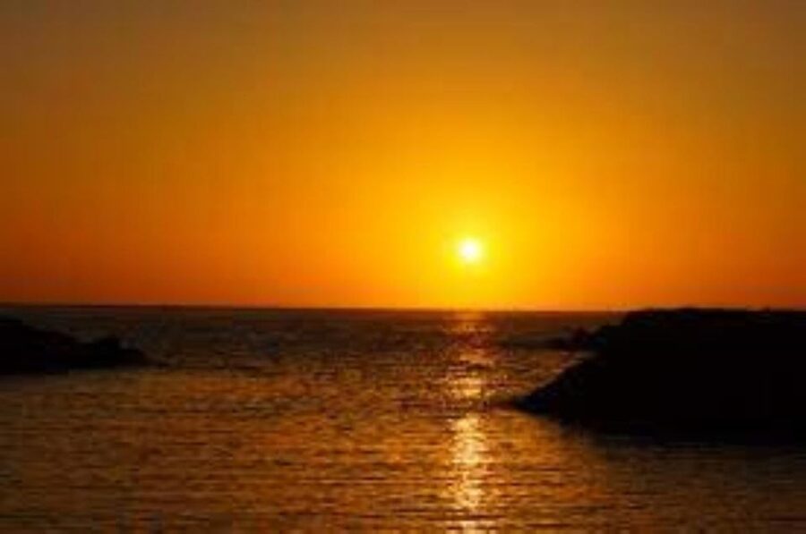 Funchal: Speedboat SEE THE ISLAND AND LIFE AT SEA - Who will enjoy this Madeira boat trip?