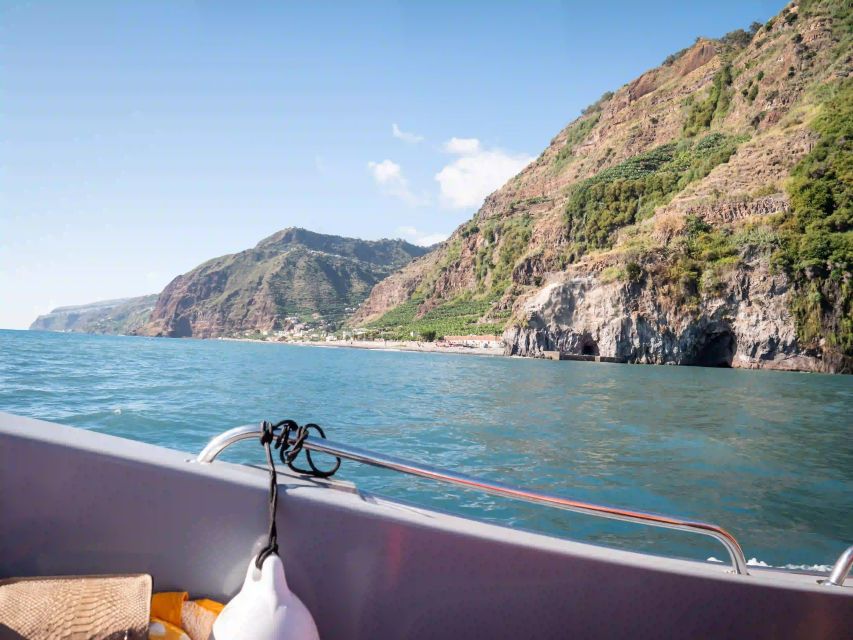 Funchal: Speedboat SEE THE ISLAND AND LIFE AT SEA - Should you book the Funchal speedboat tour?