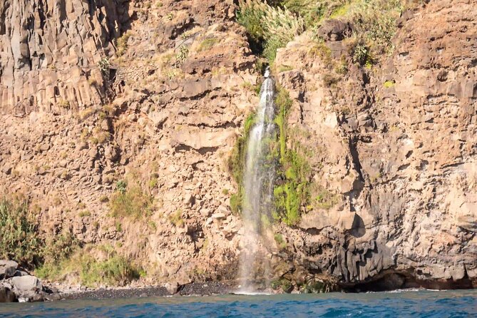Funchal: Speedboat tour- SEE THE ISLAND AND LIFE AT SEA - Why the two-and-a-half-hour length works