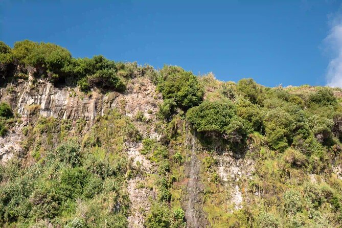 Funchal: Speedboat tour- SEE THE ISLAND AND LIFE AT SEA - Who should choose this Funchal boat trip?