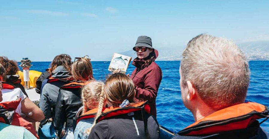 Funchal: Whale and Dolphin Watching Speed Boat Tour - Leaving Funchal Marina on a compact boat