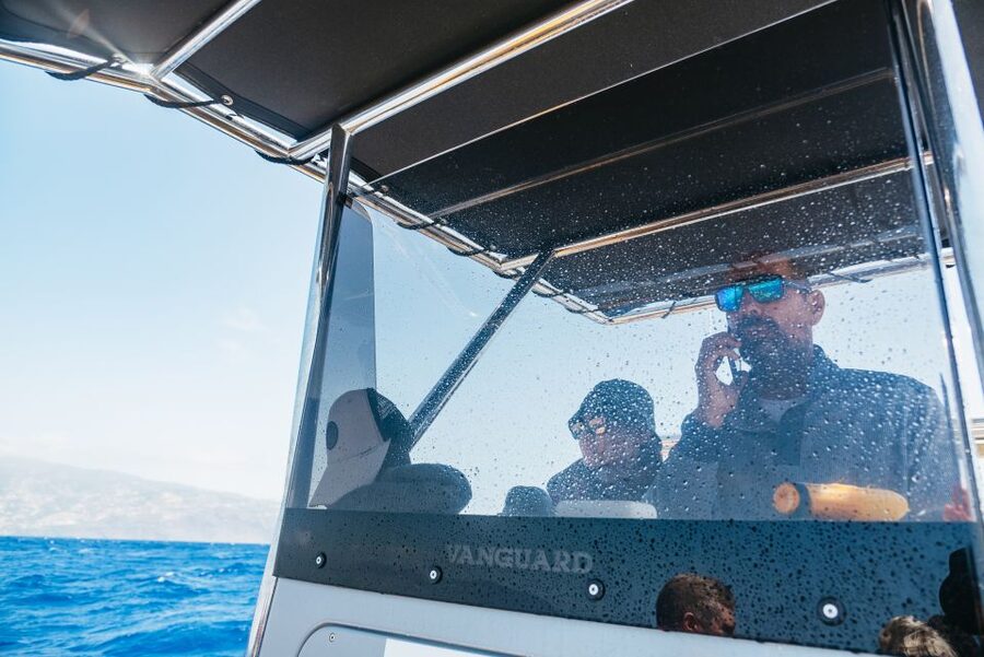Funchal: Whale and Dolphin Watching Speed Boat Tour - Madeira’s cliffs from the water