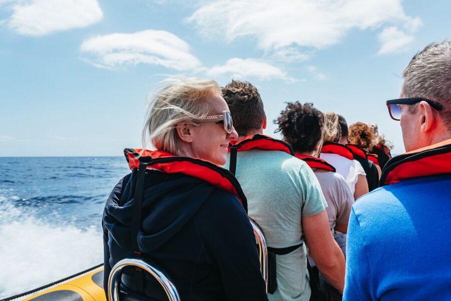 Funchal: Whale and Dolphin Watching Speed Boat Tour - Timing, cancellations, and a practical booking plan