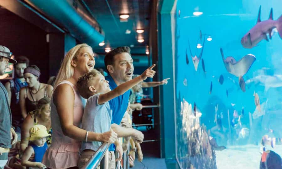 Gold Coast: Jet Boat Ride & Sea World Entry Ticket - Starting at the Sea World Cruise Terminal