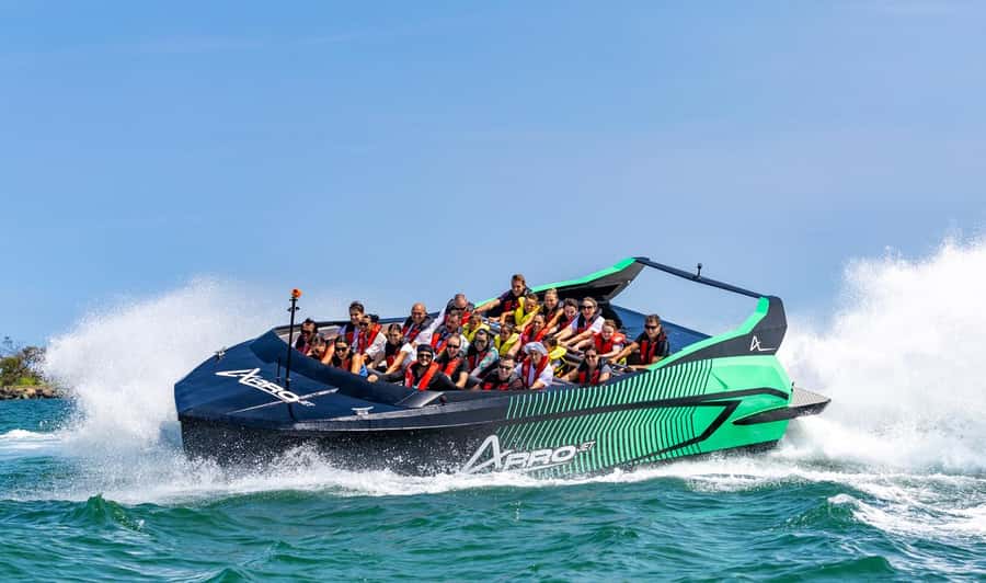 Gold Coast: Jet Boat Ride & Sea World Entry Ticket - What the 45-minute Arro Jet ride feels like