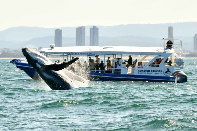Gold Coast V8 Jet Boat Rapid Ride - Weather, Minimum Numbers, and Booking Risk