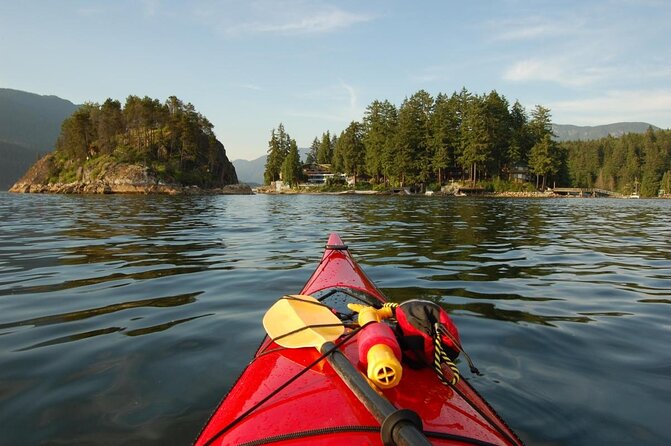 Granite Falls Zodiac Tour by Vancouver Water Adventures - Vancouver Harbour from the water