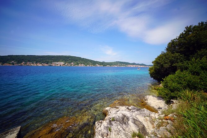 Guided Speedboat Tour with Food, Oil & Wine Tasting - Is the $42.05 price good value?