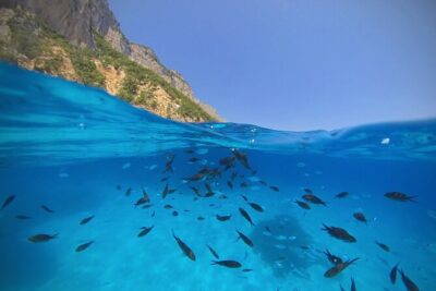 Gulf of Orosei Speedboat Trip with Aperitif from Cala Gonone