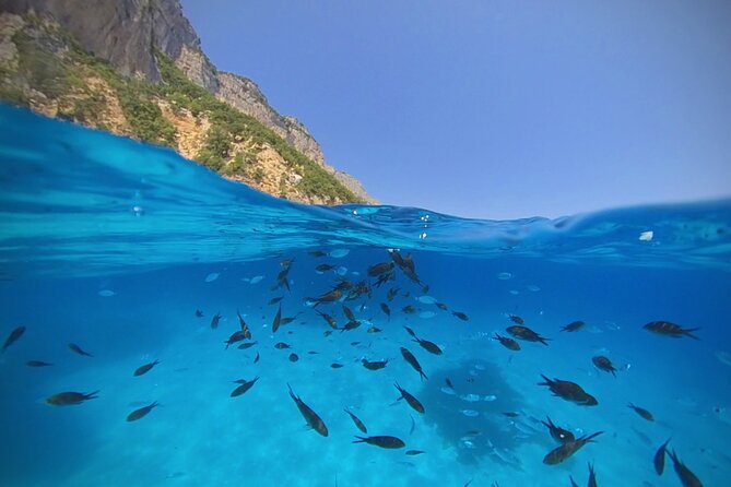 Gulf of Orosei Speedboat Trip with Aperitif from Cala Gonone - Cala Luna, the smart first beach stop