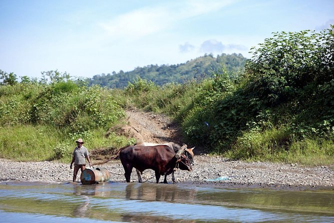 Half Day Sigatoka River Jetboat & Village Tour with Lunch & Transfers - Choosing the morning or afternoon departure