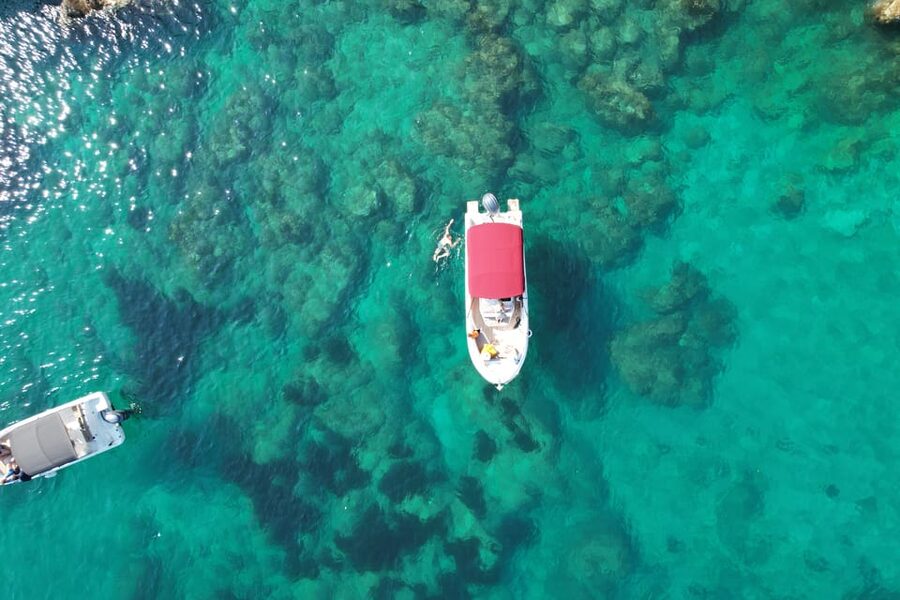 Half day speedboat tour - find caves and enjoy swimming - Is $659 good value for your group?