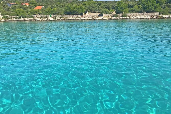 Half Day Speedboat Tour to Three Islands from Trogir - Morning or afternoon: which departure works better?